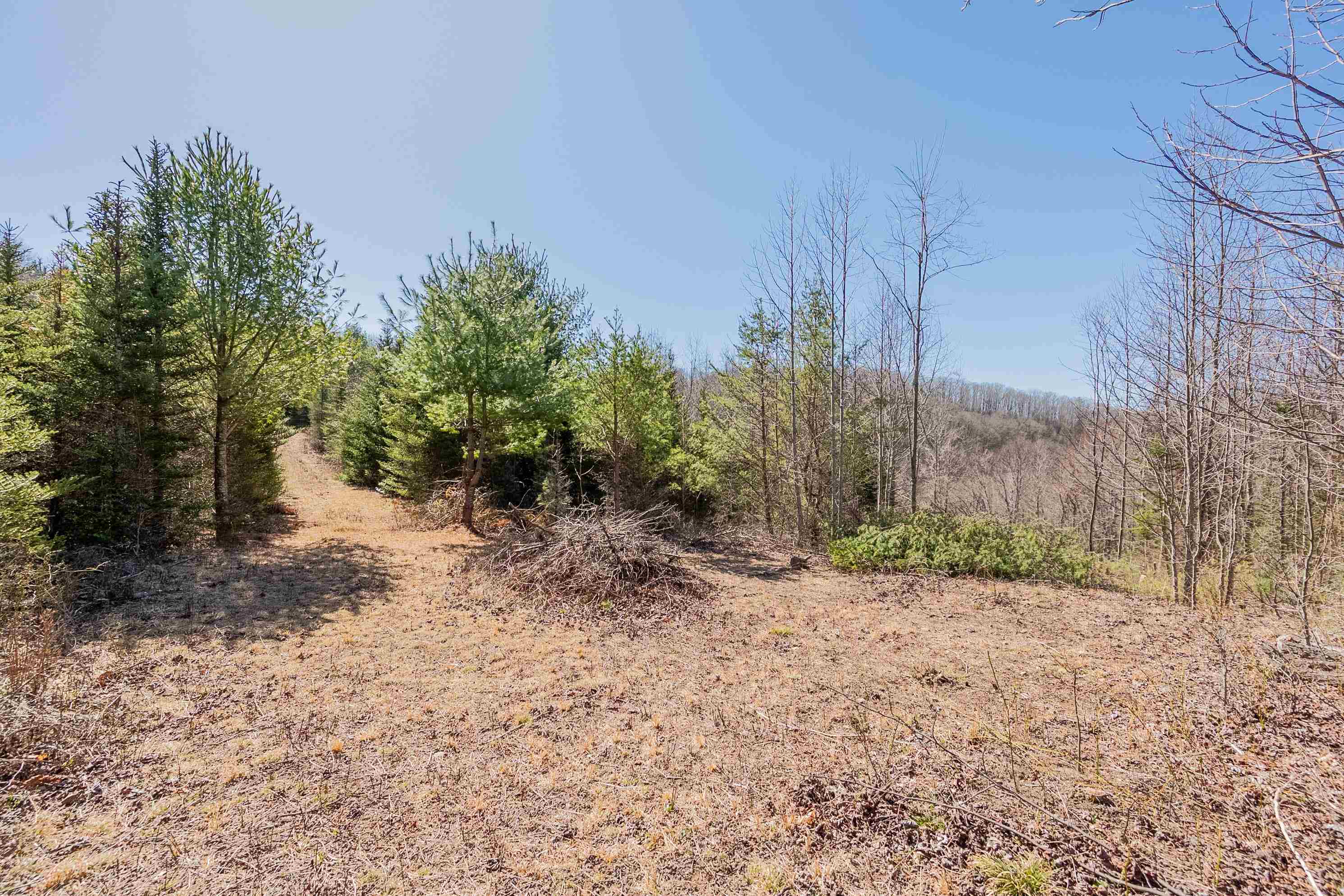 Tbd Southwest Tbd Sw Jeb Stuart Road Southwest Damascus, VA 24236 - Photo 63 of 113 Gallery Image 63