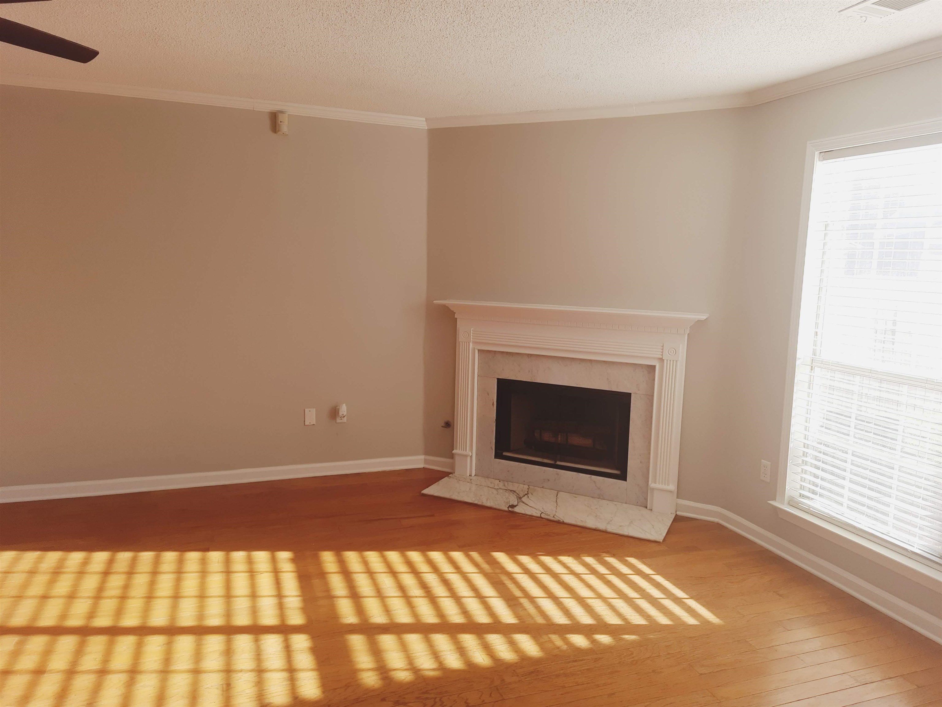 746 North Ericson Road Memphis, TN 38018 - Photo 4 of 17 Living room features hardwood floors, floor-to-ceiling window and gas fireplace.