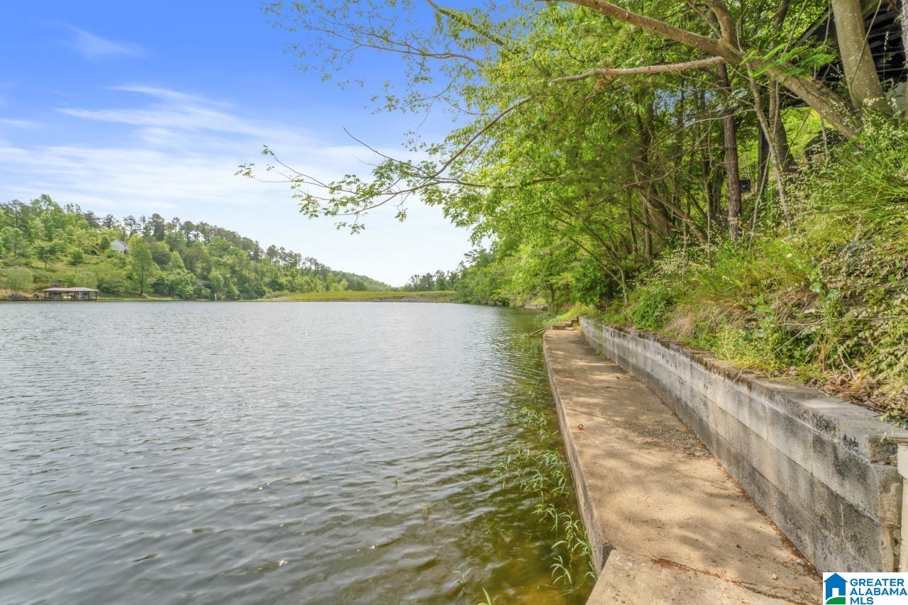 285 Martin Drive Oneonta, AL 35121 - Photo 23 of 36