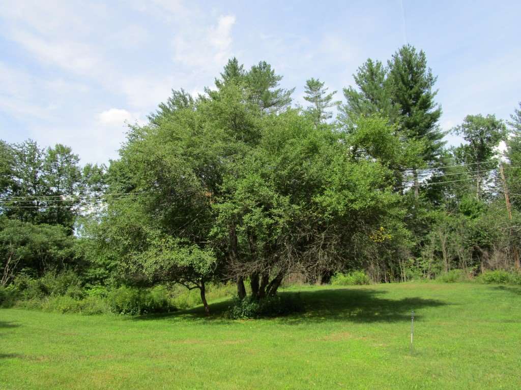 327 Cobb Hill Road Moretown, VT 05676 - Photo 13 of 13 Gallery Image 13