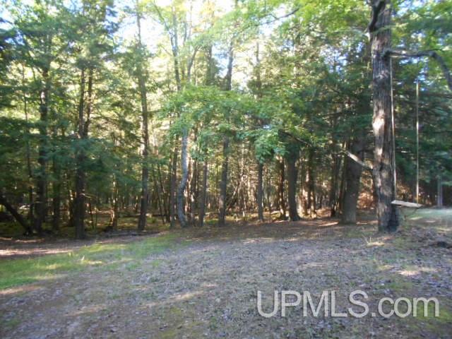 Tbd Miller Road Florence, WI 54121 - Photo 5 of 24
