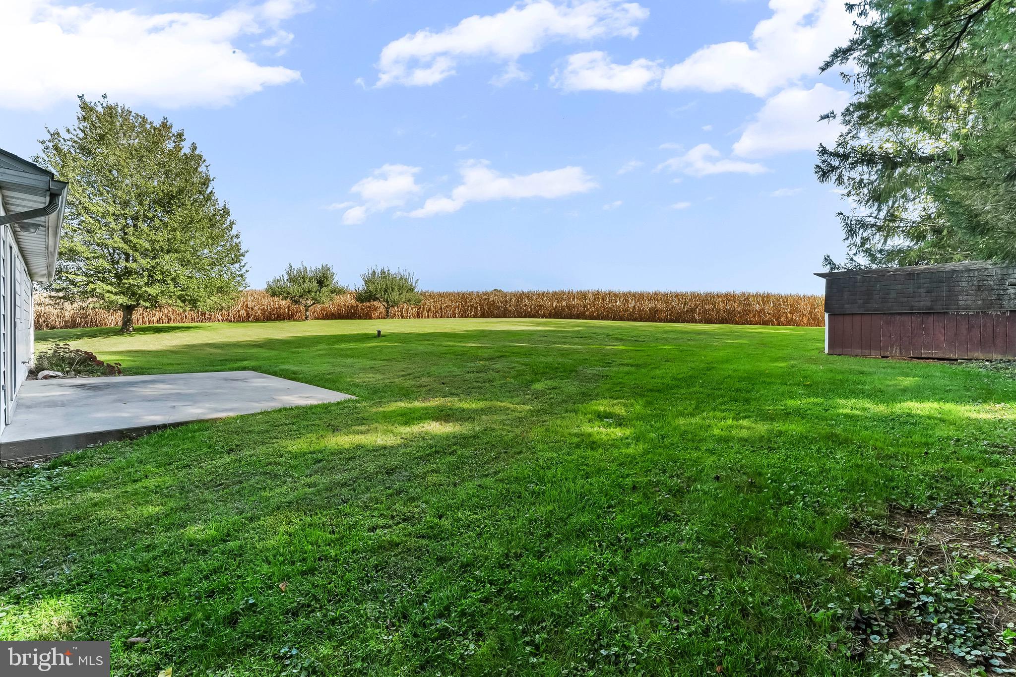 350 Roneys Corner Road Oxford, PA 19363 - Photo 3 of 18 a view of a big yard with a large tree