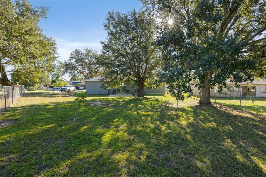 2 Oak Court Pass Ocala, FL 34472 - Photo 21 of 28 a view of yard with green space