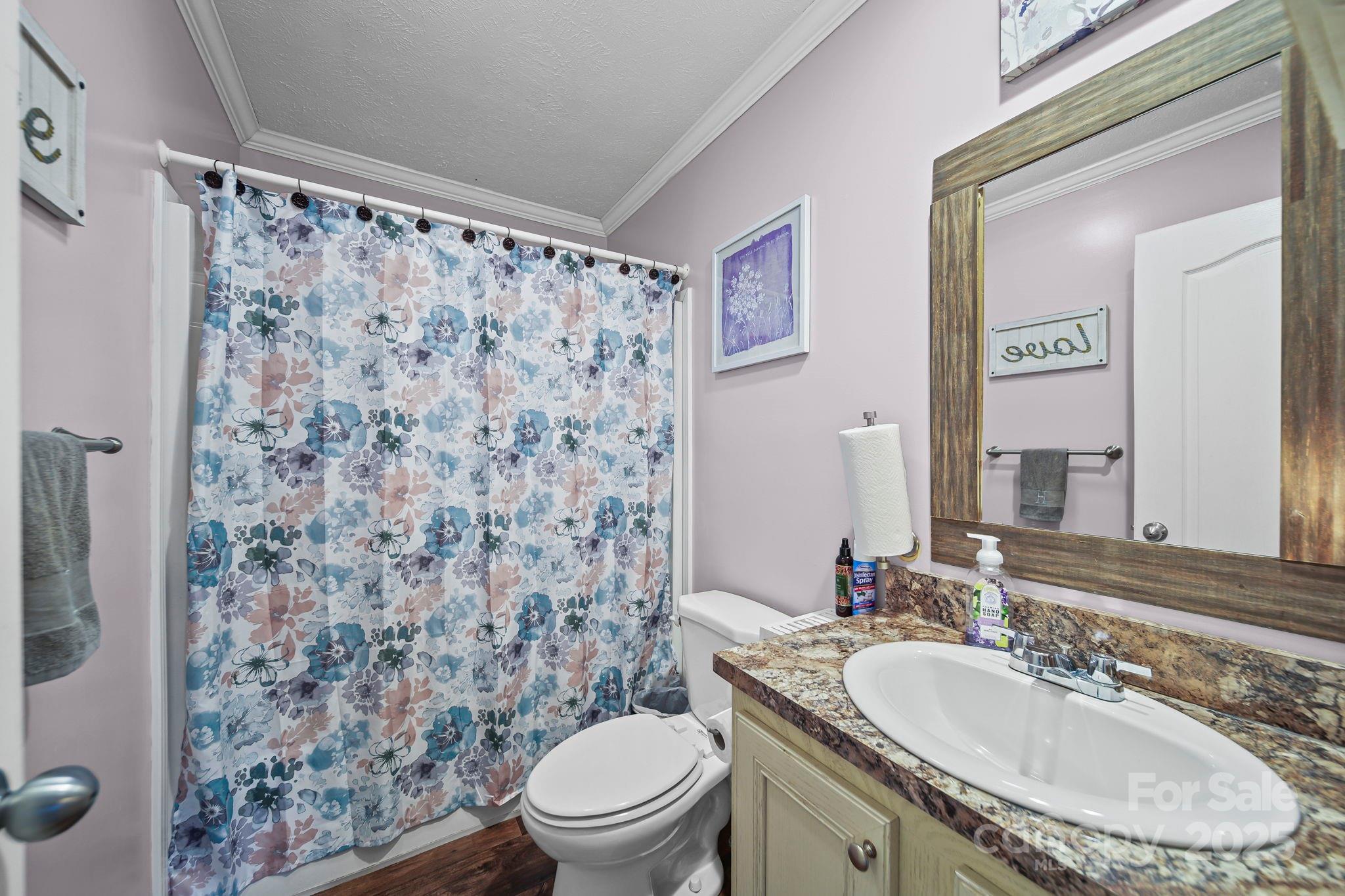 30291 C Red Hill Road Albemarle, NC 28001 - Photo 27 of 45 a bathroom with a granite countertop sink toilet a mirror and shower curtain
