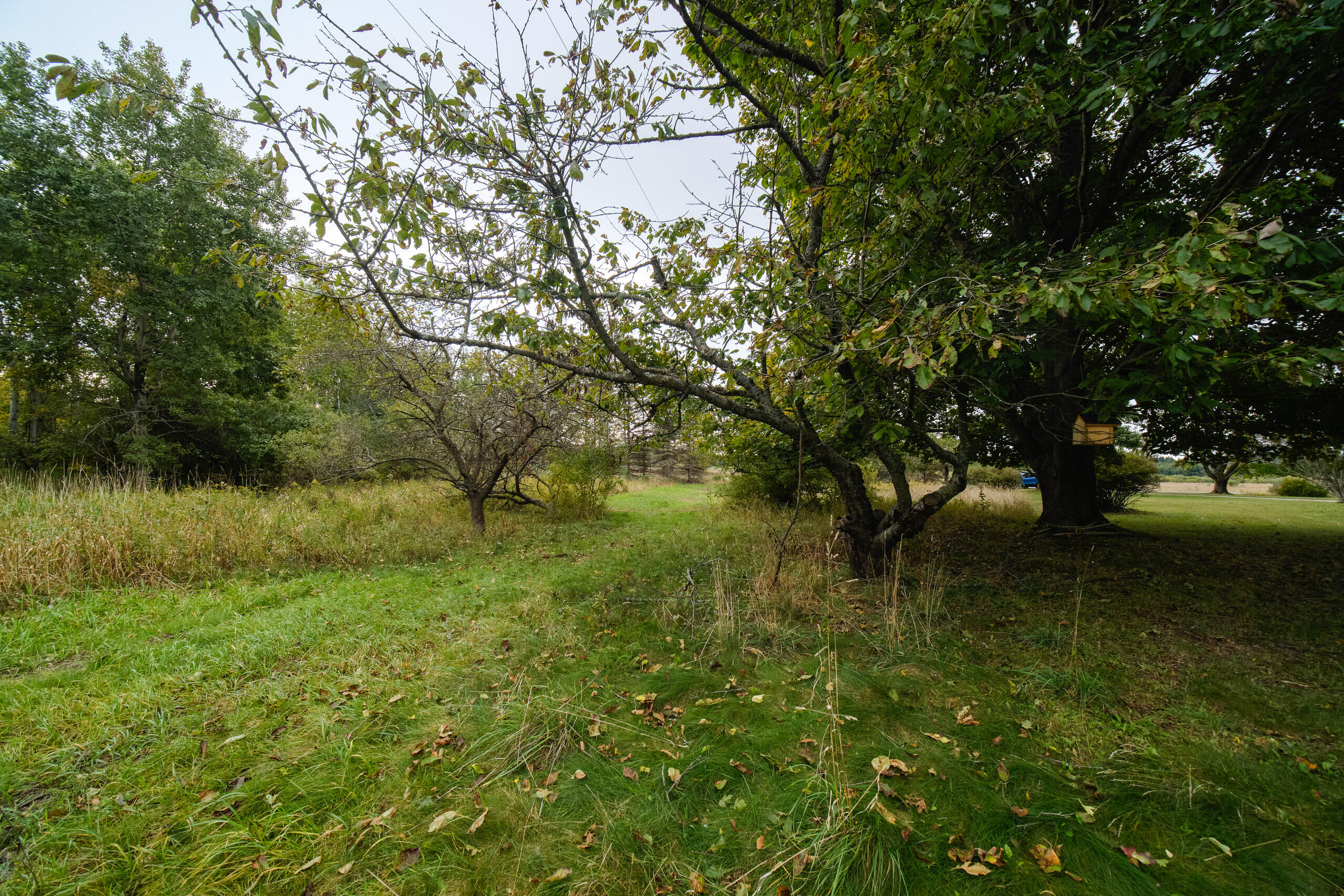 354 East Preuss Road Manistee, MI 49660 - Photo 51 of 52 354_E_Preuss_Rd-52