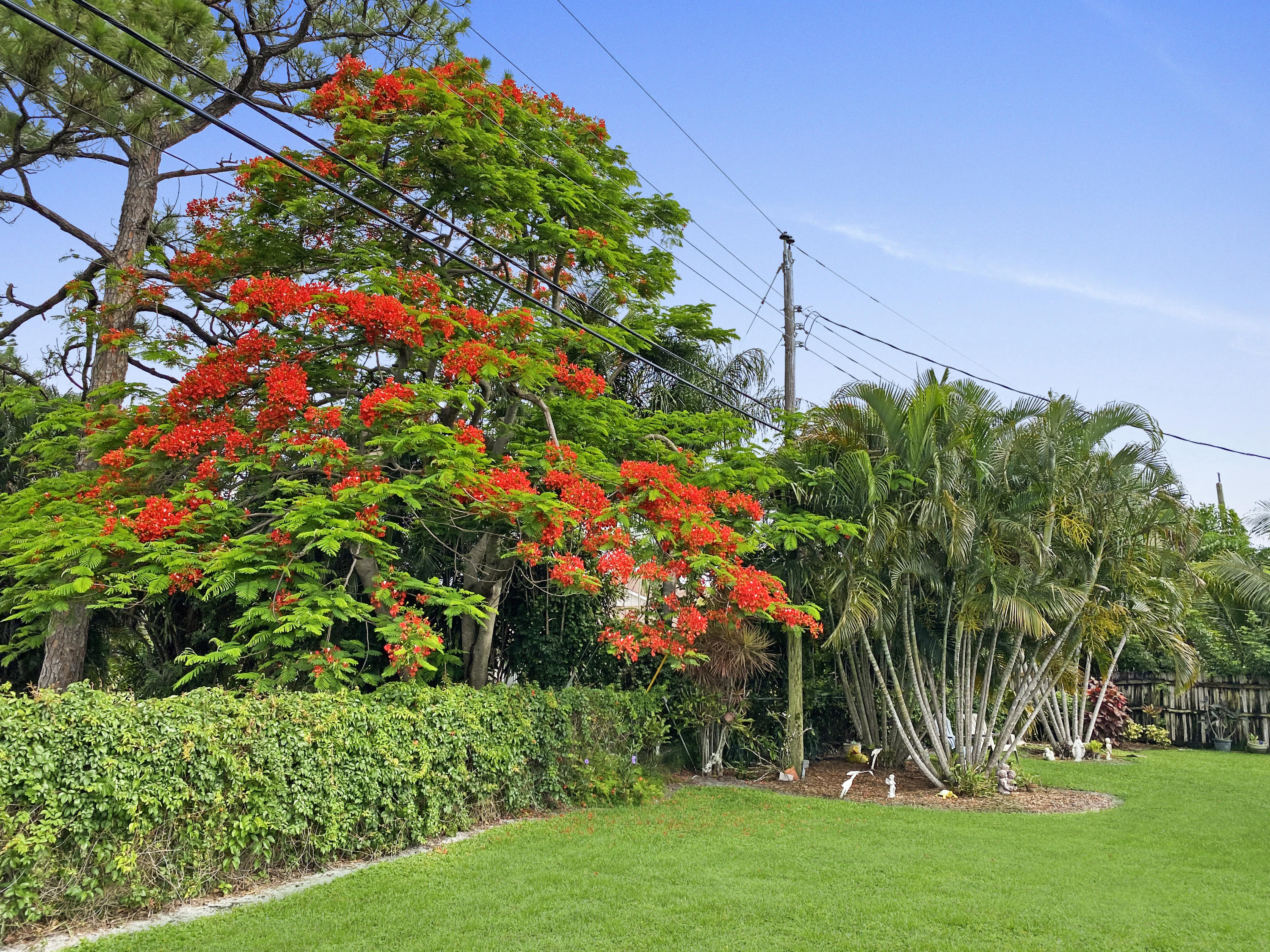 4327 Northwest 2nd Terrace Boca Raton, FL 33431 - Photo 25 of 25 Backyard