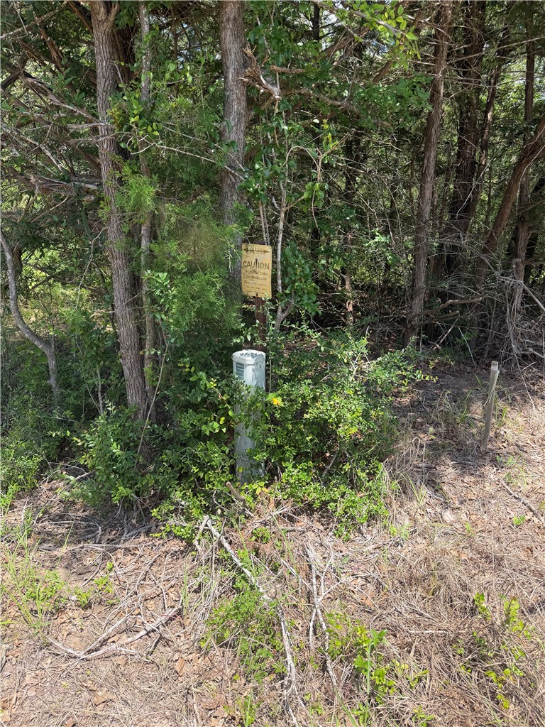 304 Overlook Loop Somerville, TX 77879 - Photo 12 of 17