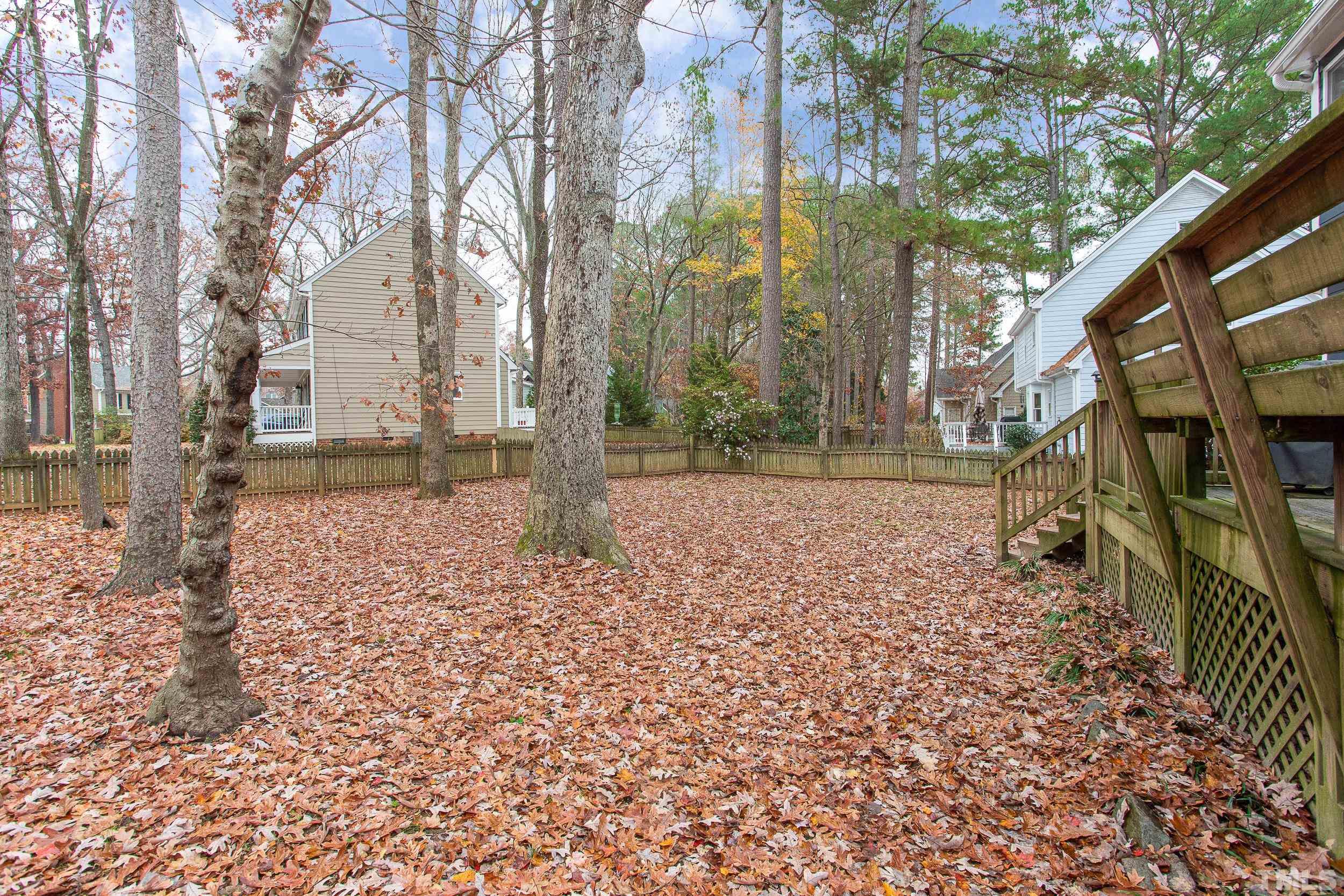 2501 Diamondhitch Trail Raleigh, NC 27615 - Photo 4 of 21 a backyard of a house with lots of green space
