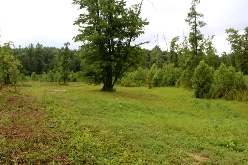 Lot 24 James George Road Jamestown, TN 38556 - Photo 1 of 24 IMG_4359_800x533