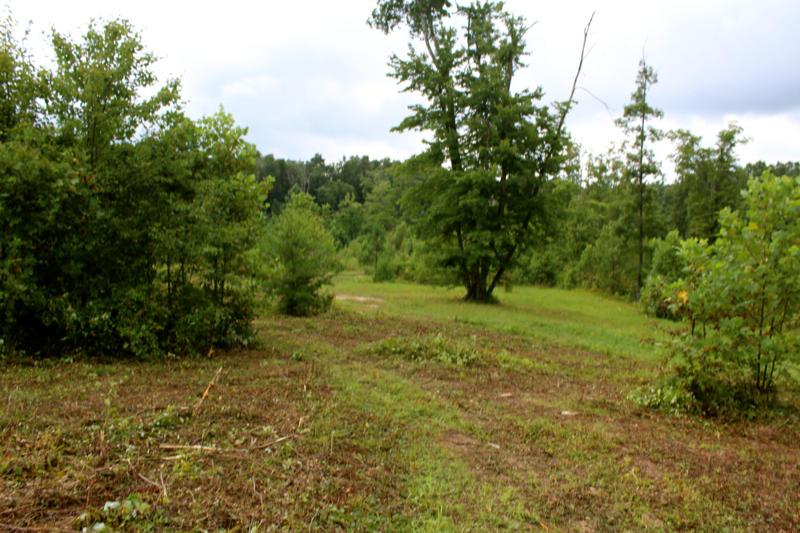 Lot 24 James George Road Jamestown, TN 38556 - Photo 11 of 24 IMG_4356_800x533