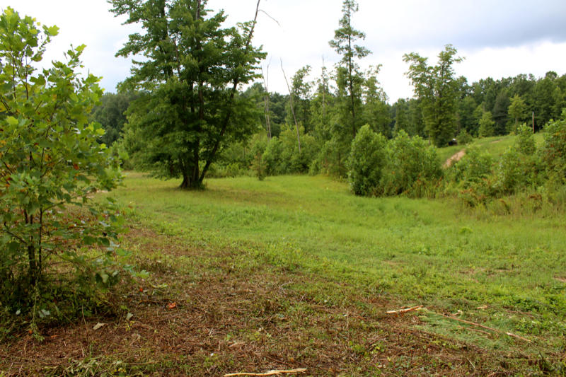 Lot 24 James George Road Jamestown, TN 38556 - Photo 12 of 24 IMG_4357_800x533