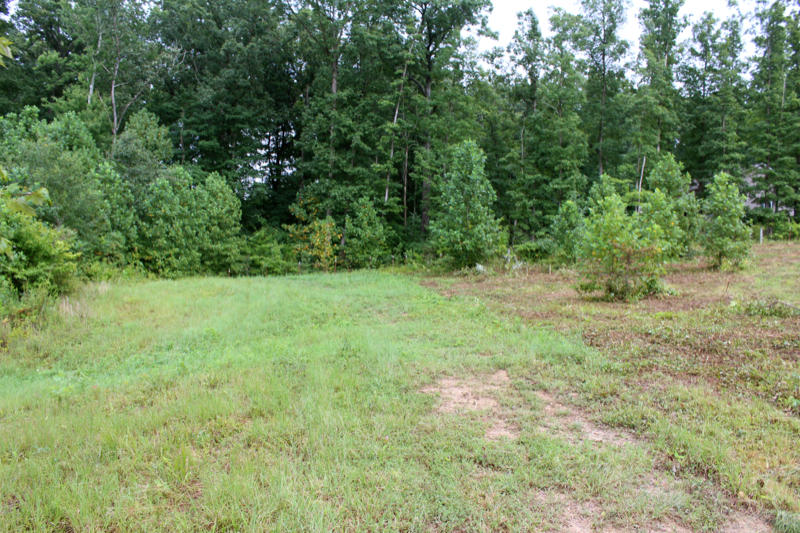 Lot 24 James George Road Jamestown, TN 38556 - Photo 16 of 24 IMG_4365_800x533