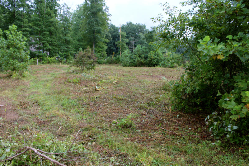 Lot 24 James George Road Jamestown, TN 38556 - Photo 19 of 24 IMG_4368_800x533