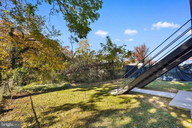 a view of yard along with trees