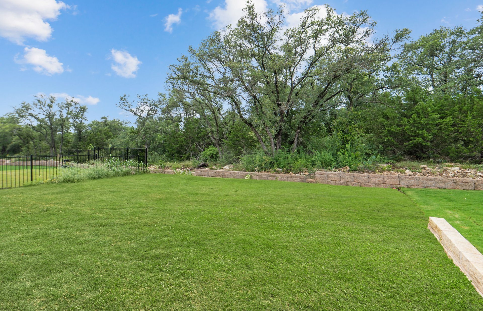 1010 Martingale Street Georgetown, TX 78633 - Photo 21 of 23 a view of a green field