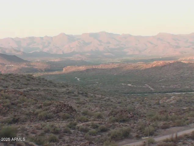 a view of a dry yard with mountains in the background