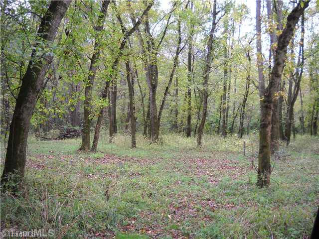 492 Gray Mill Road Lexington, NC 27292 - Photo 11 of 14 Land.