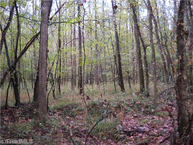 492 Gray Mill Road Lexington, NC 27292 - Photo 10 of 14 Land.