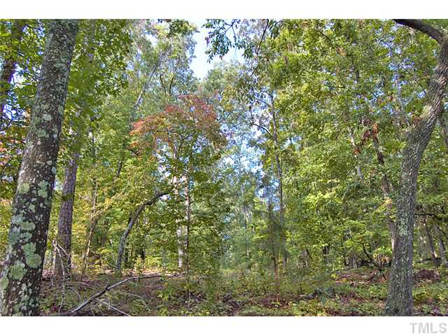 Seaforth Road, Unit C Pittsboro, NC 27312 - Photo 3 of 6 a view of outdoor space and yard