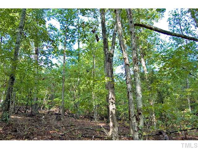 Seaforth Road, Unit C Pittsboro, NC 27312 - Photo 5 of 6 a view of outdoor space and lots of trees
