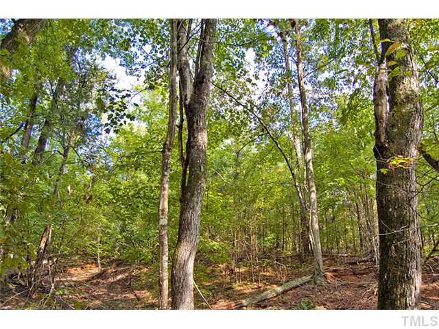 Seaforth Road, Unit C Pittsboro, NC 27312 - Photo 6 of 6 a view of outdoor space and green space