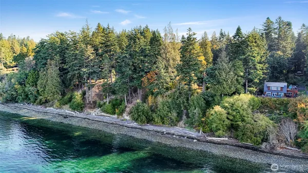 a view of a street with large trees
