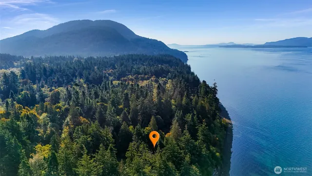 a view of outdoor space with trees