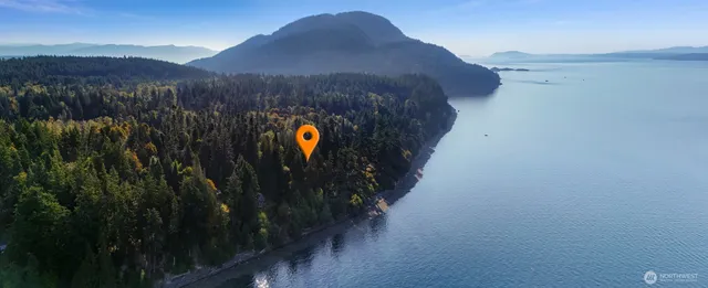 a backyard of a house with a yard and large tree
