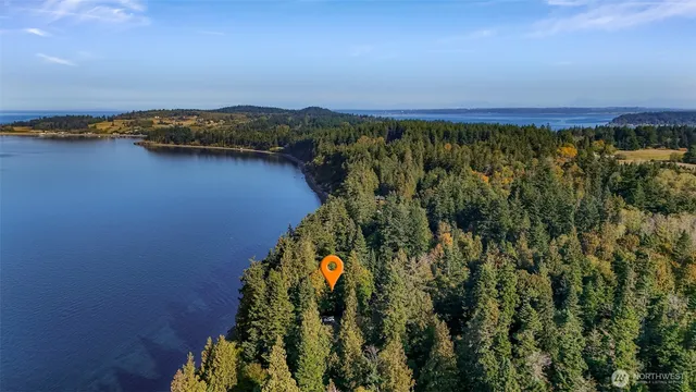 a view of a dry yard