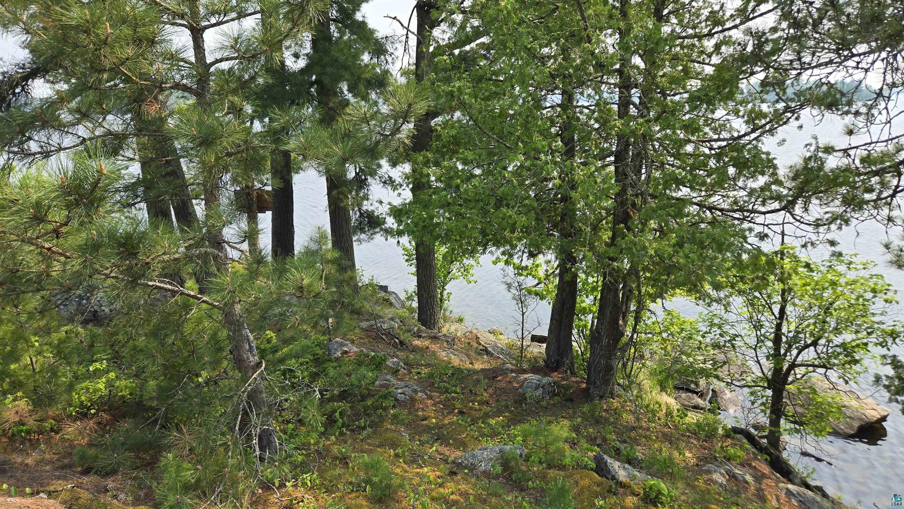11.82 Bessette Road Orr, MN 55771 - Photo 28 of 44 View of undeveloped land featuring a nearby body of water
