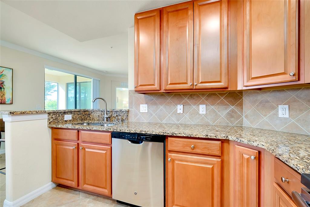 20100 Ragazza Circle, Unit 101 Venice, FL 34293 - Photo 29 of 100 a kitchen with granite countertop cabinets and window