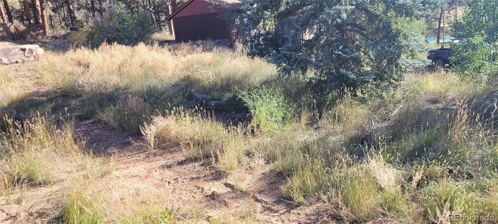 82 West Shawnee Road Shawnee, CO 80475 - Photo 6 of 16 Gallery Image 6