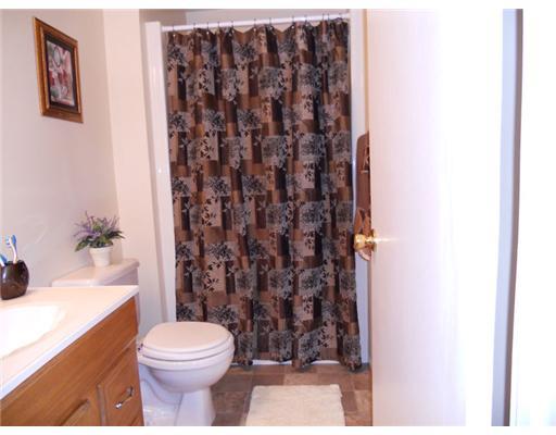 529 Clover Hill Road California, PA 15423 - Photo 11 of 18 Master Bath/Spa.