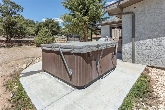 a view of a yard with plants and trees