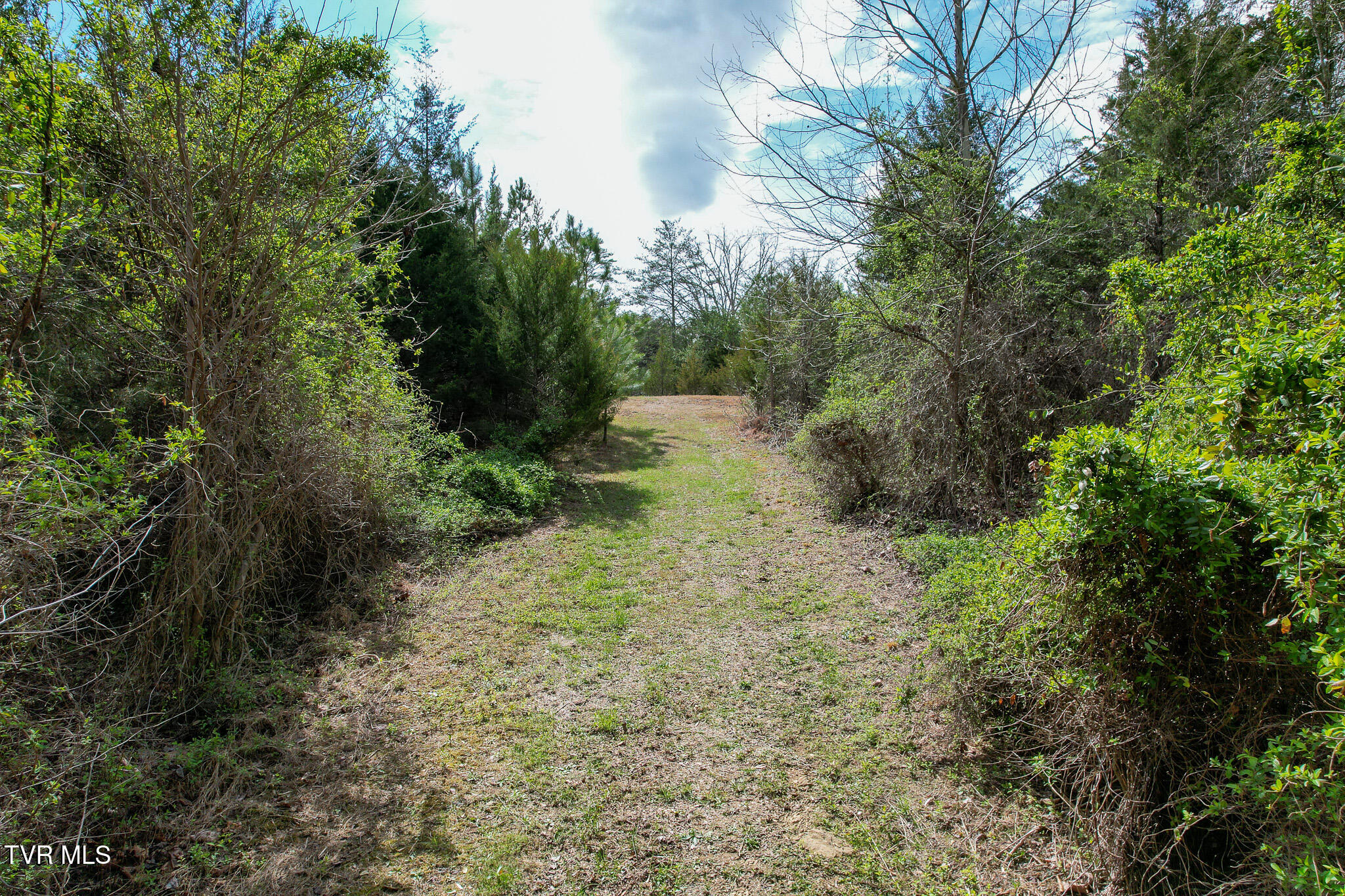 480 Obe Kirk Loop Mohawk, TN 37810 - Photo 47 of 54 DJI_0184