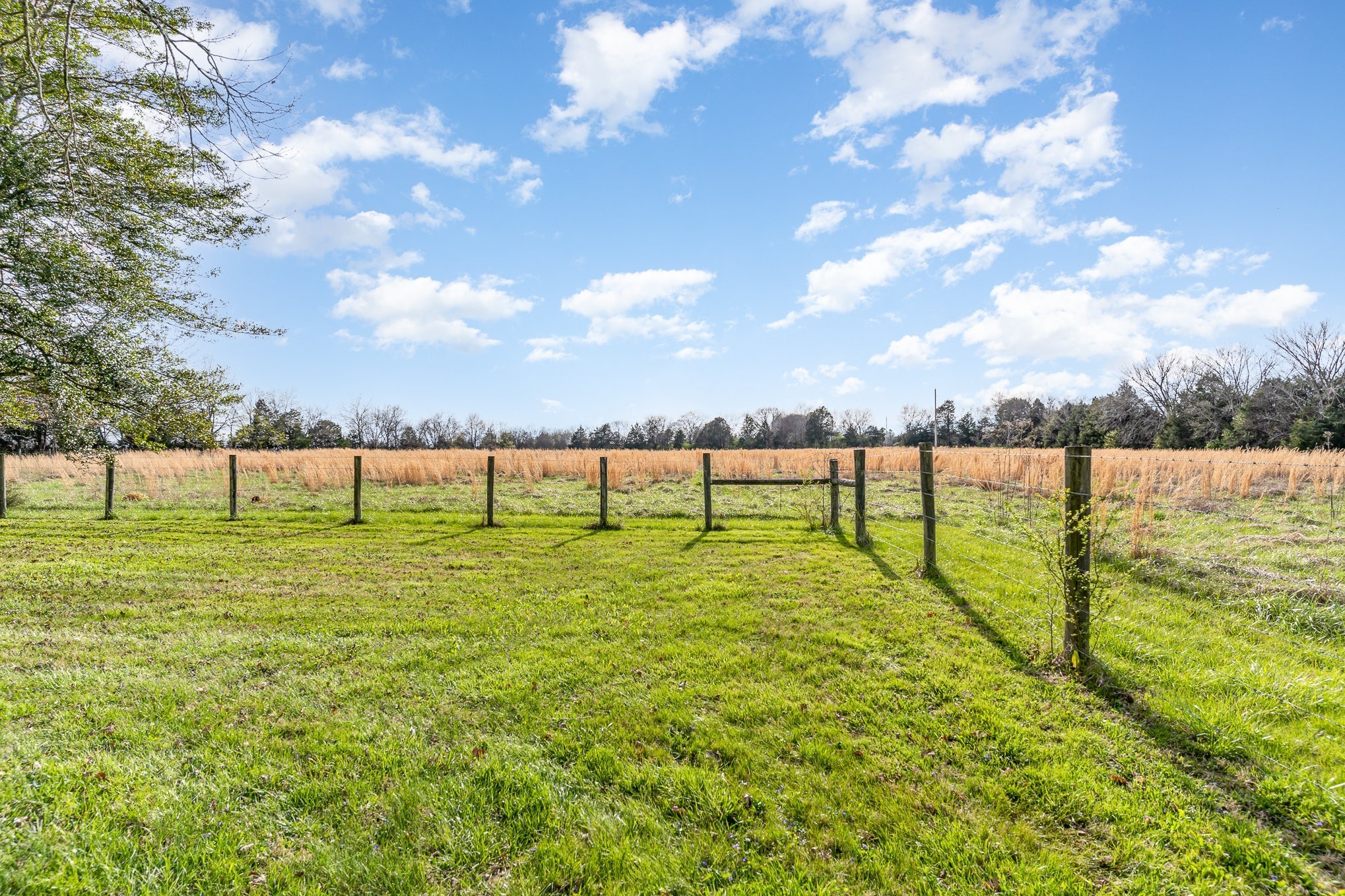 2159 Verona Caney Road Lewisburg, TN 37091 - Photo 30 of 41