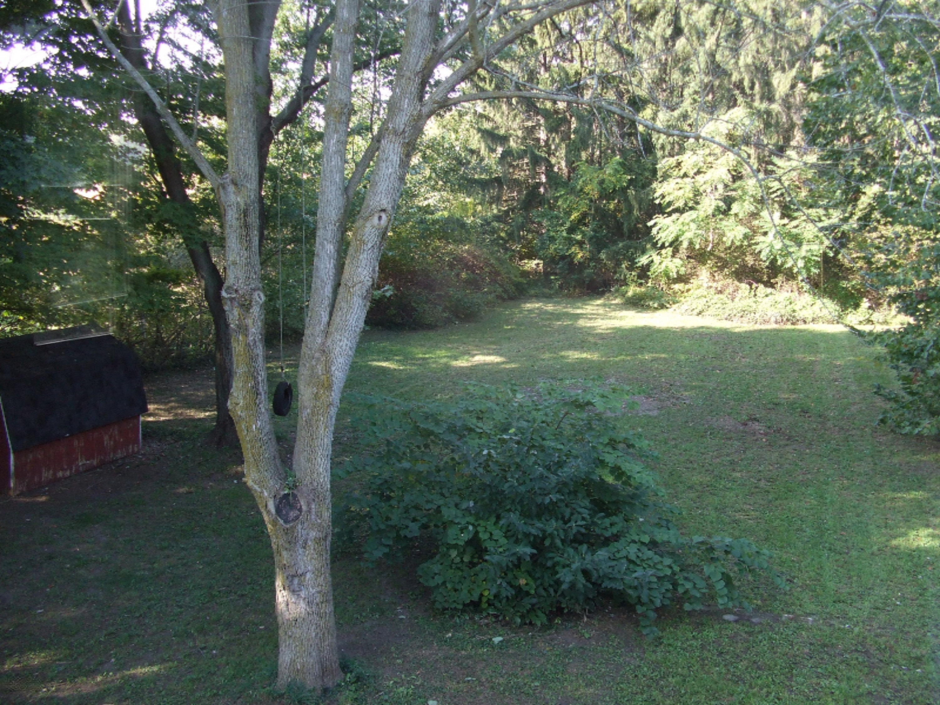 9124 Gast Road Bridgman, MI 49106 - Photo 3 of 21 DSCF2199