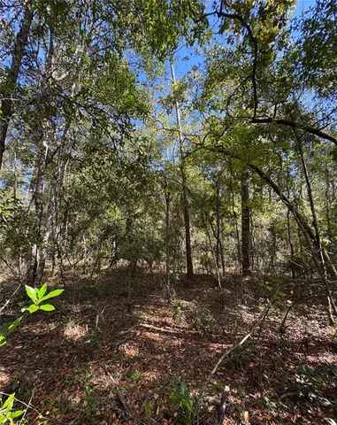 $40,000 | 45 Southwest Kentucky Street, Fort White, FL 32038