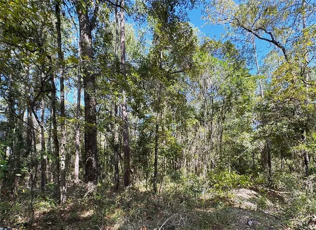 $40,000 | 45 Southwest Kentucky Street, Fort White, FL 32038