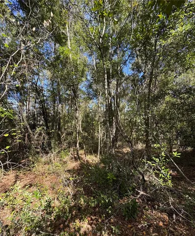 $40,000 | 45 Southwest Kentucky Street, Fort White, FL 32038