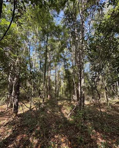 $40,000 | 45 Southwest Kentucky Street, Fort White, FL 32038