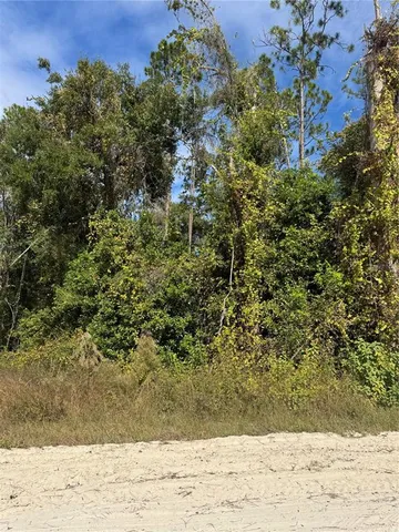 $40,000 | 45 Southwest Kentucky Street, Fort White, FL 32038