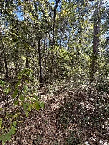 $40,000 | 45 Southwest Kentucky Street, Fort White, FL 32038