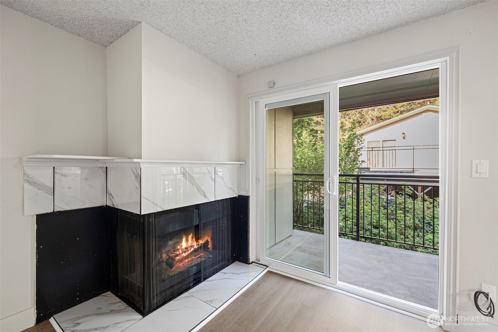 210 Southwest Clark Street, Unit A202 Issaquah, WA 98027 - Photo 5 of 28 a living room with a fireplace and a floor to ceiling window