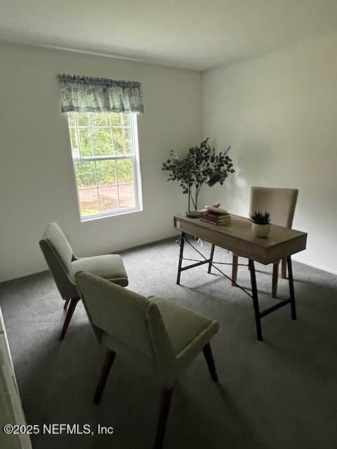 540316 Lem Turner Road Callahan, FL 32011 - Photo 17 of 25 a living room with furniture and a potted plant