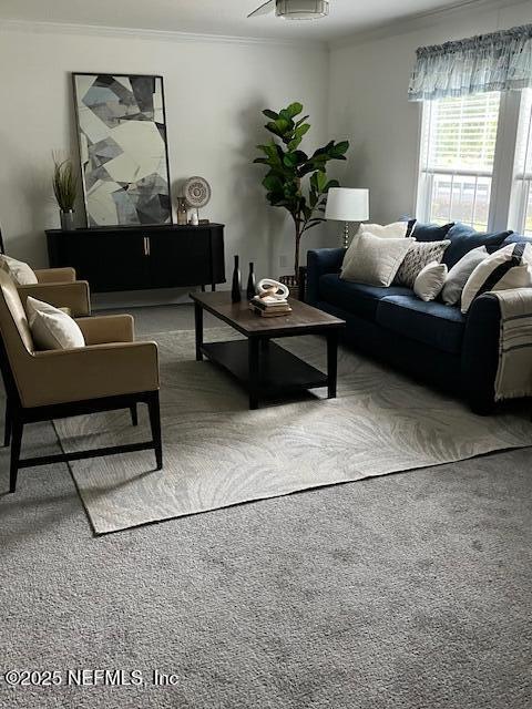 540316 Lem Turner Road Callahan, FL 32011 - Photo 3 of 25 a living room with furniture and a potted plant