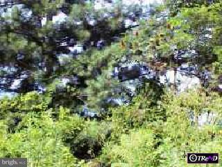 0 Tattletown Road Trenton, NJ 08620 - Photo 1 of 1 Gallery Image 1