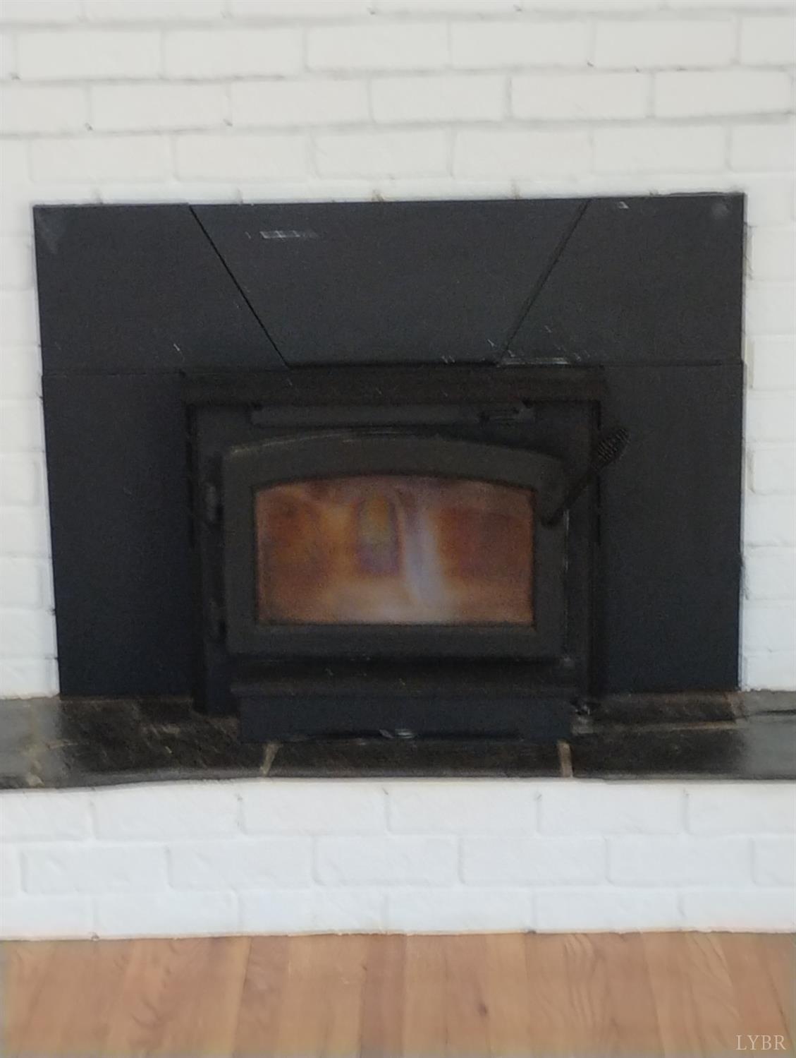1316 Dudley Road Moneta, VA 24121 - Photo 34 of 61 WOOD STOVE INSERT IN MAIN LEVEL DEN
