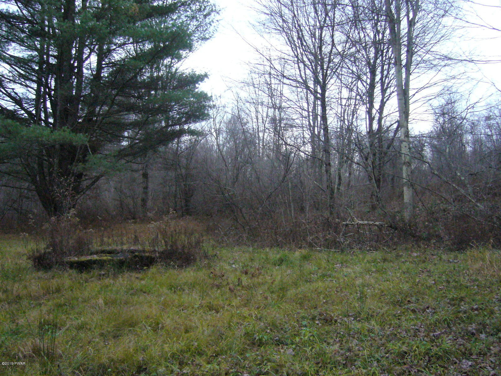 Simpson Road Lakewood, PA 18439 - Photo 6 of 14