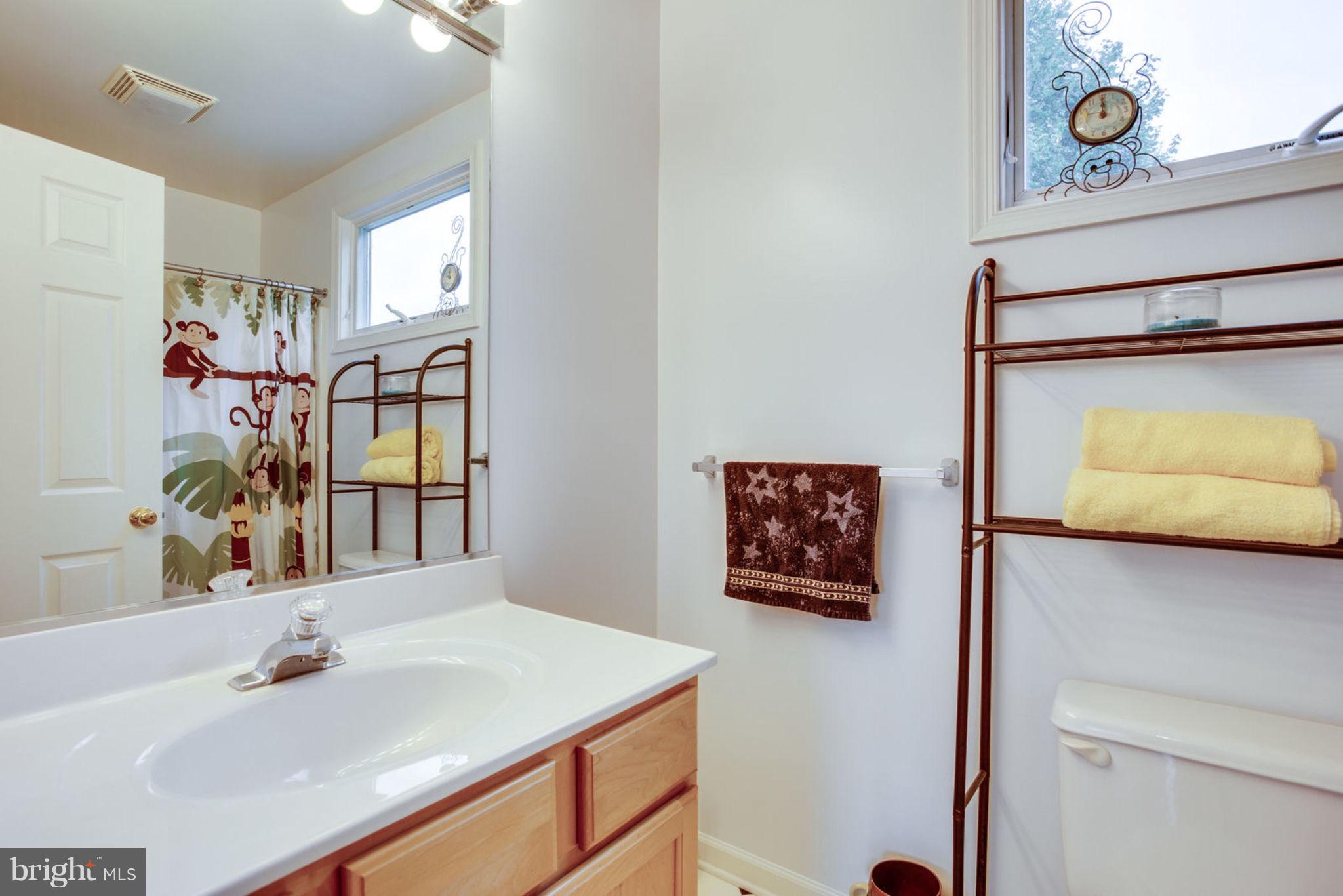 2604 Dixon Road Frederick, MD 21704 - Photo 22 of 30 a bathroom with a sink mirror and vanity